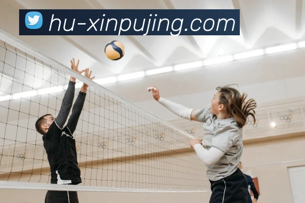 App Interface Preview